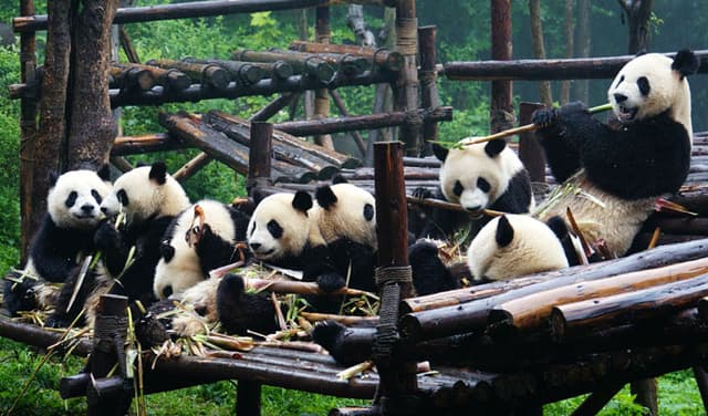 Chengdu, China